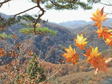 韩国政坛动荡冲击半导体出口，挑战与机遇并存